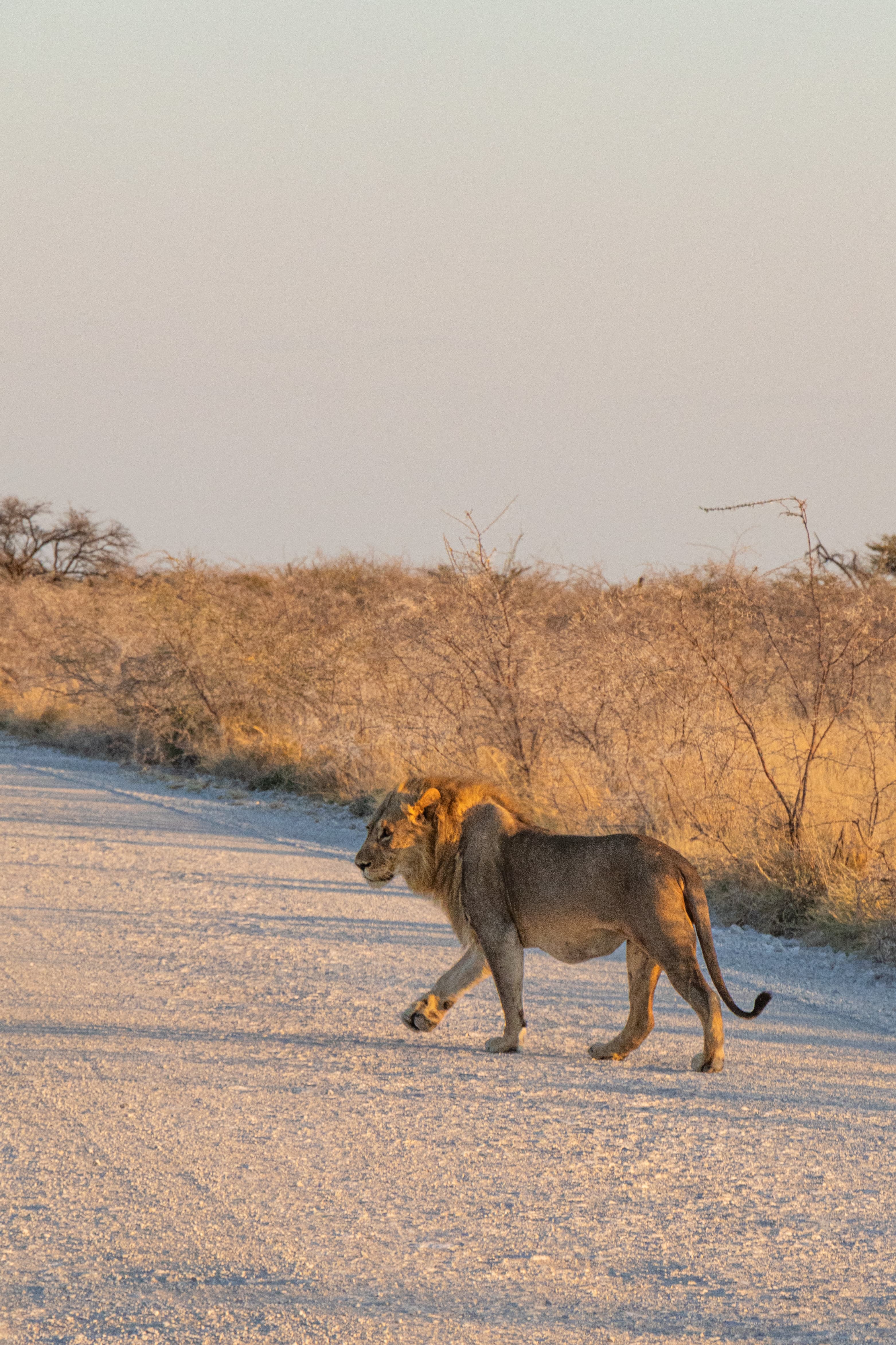 Roadtrip through Namibia