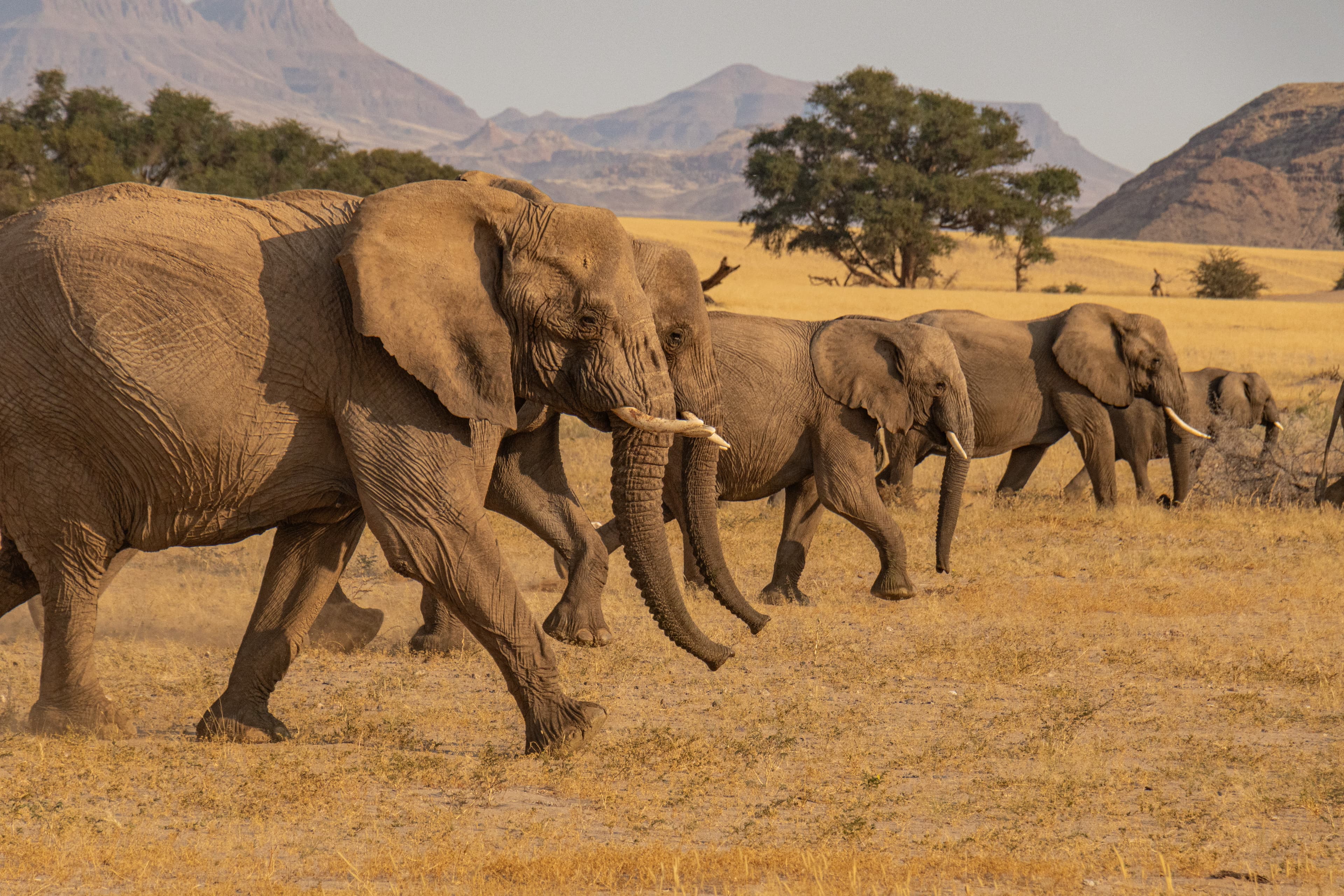 Roadtrip through Namibia