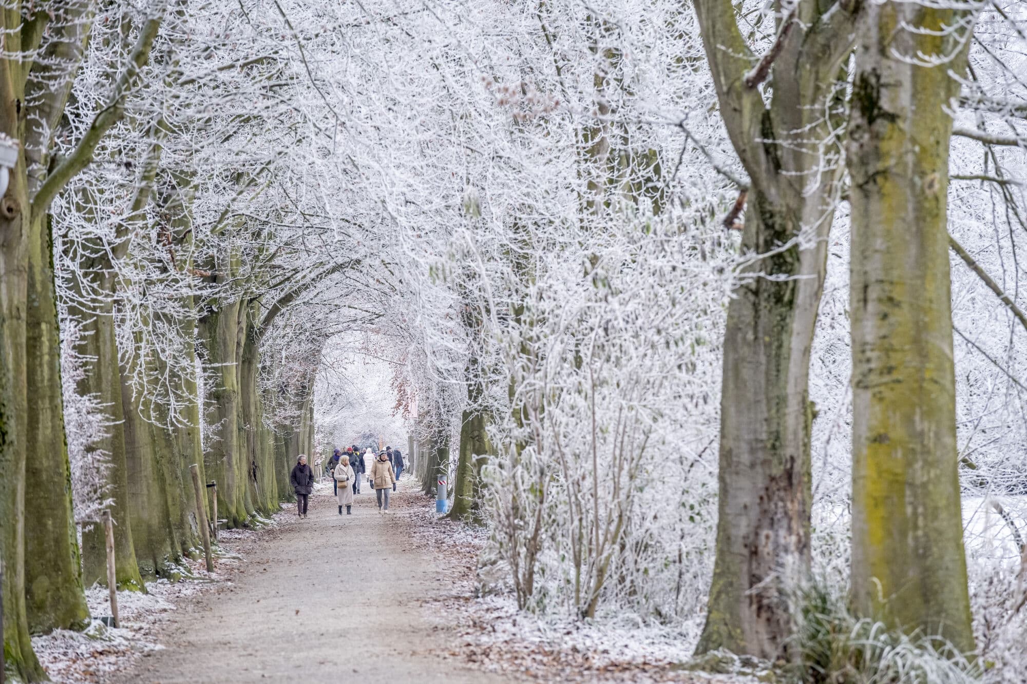 Sunday: Spend time in nature & warm up at local pubs