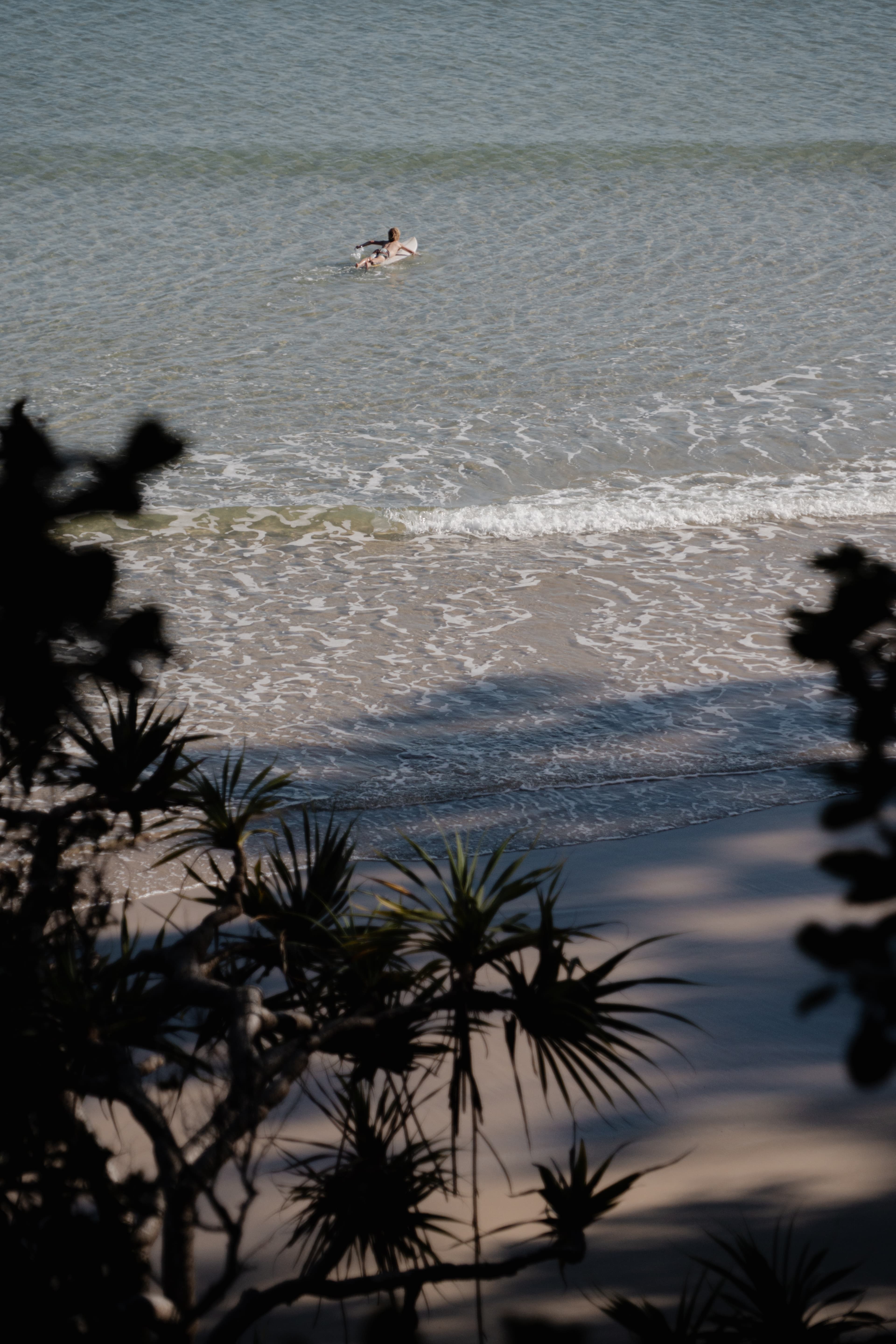 Promenade côtière de Noosa