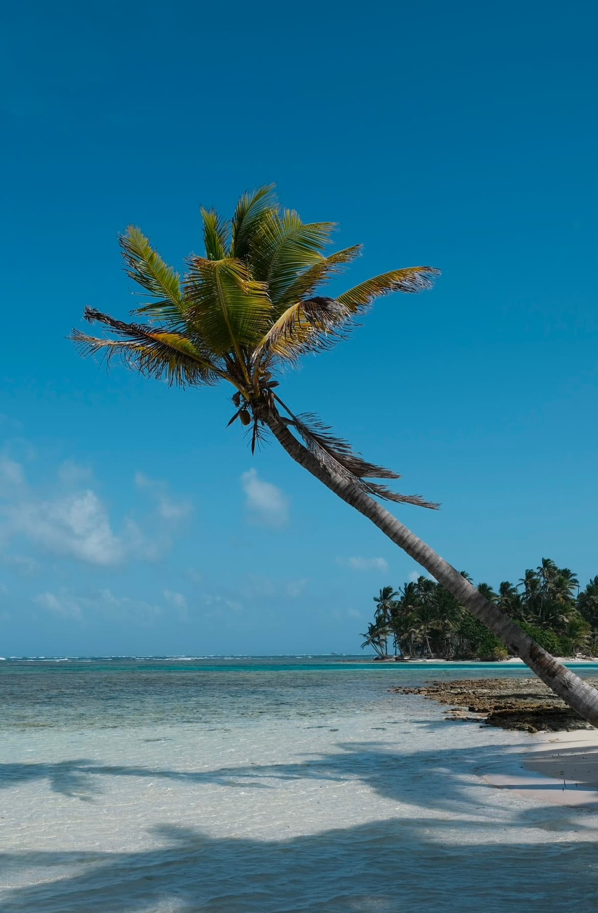 5-daagse zeiltocht naar het paradijs: de San Blas-eilanden in Panama