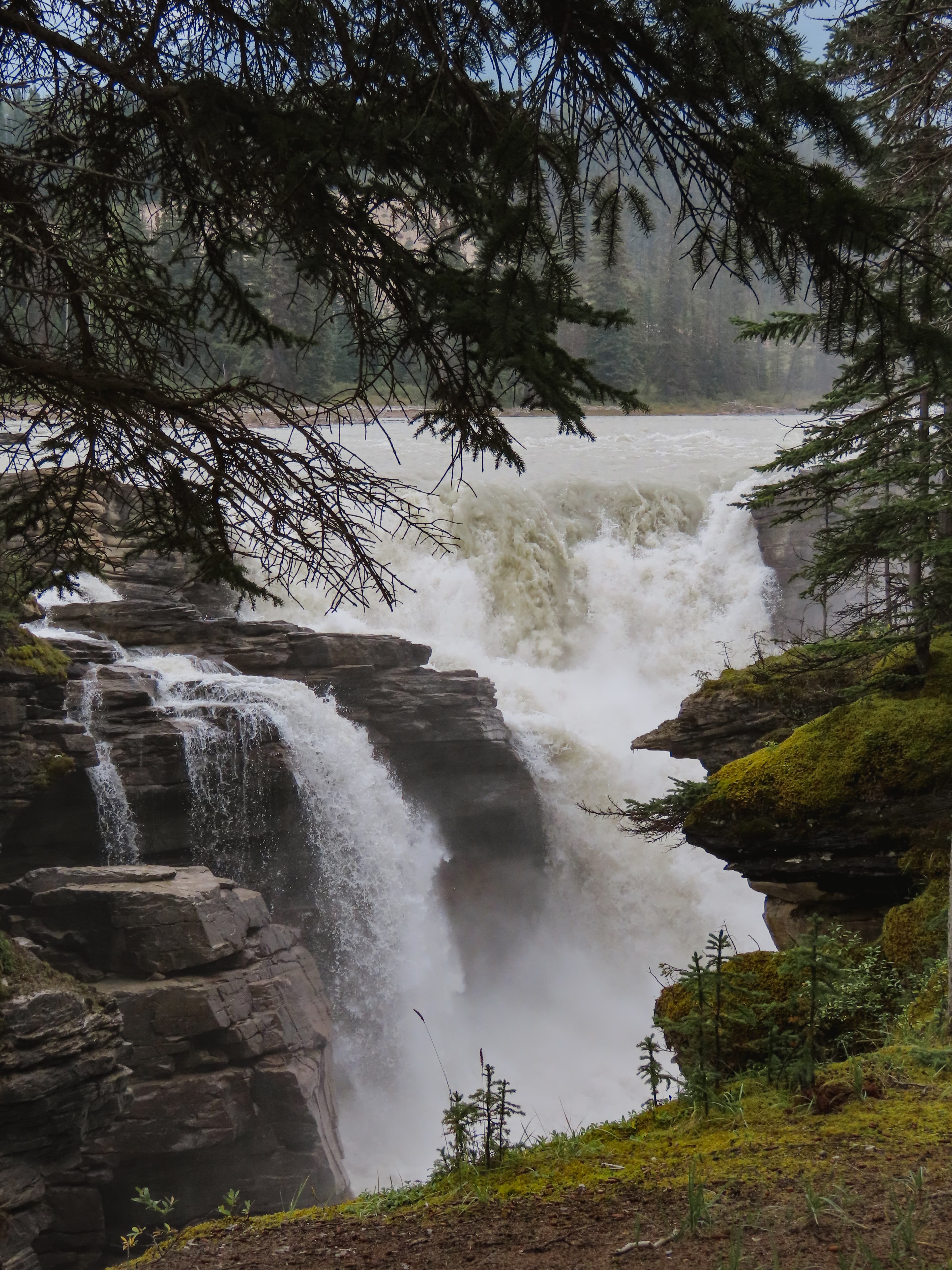 Scenische rit langs de Icefields Parkway