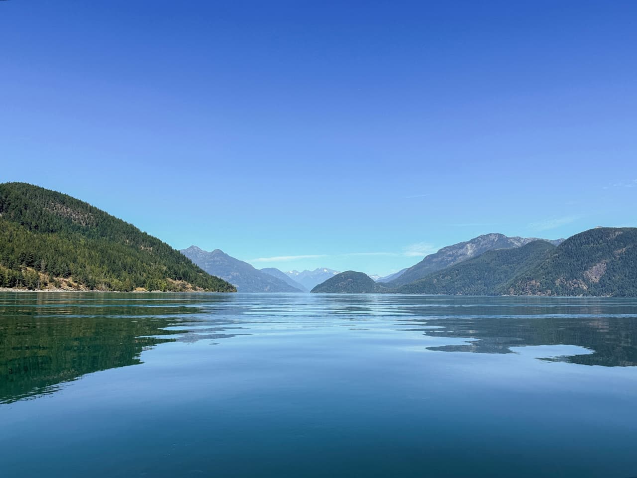 Walvis spotten in Campbell River