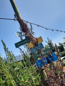 Breakfast-lunch-dinner