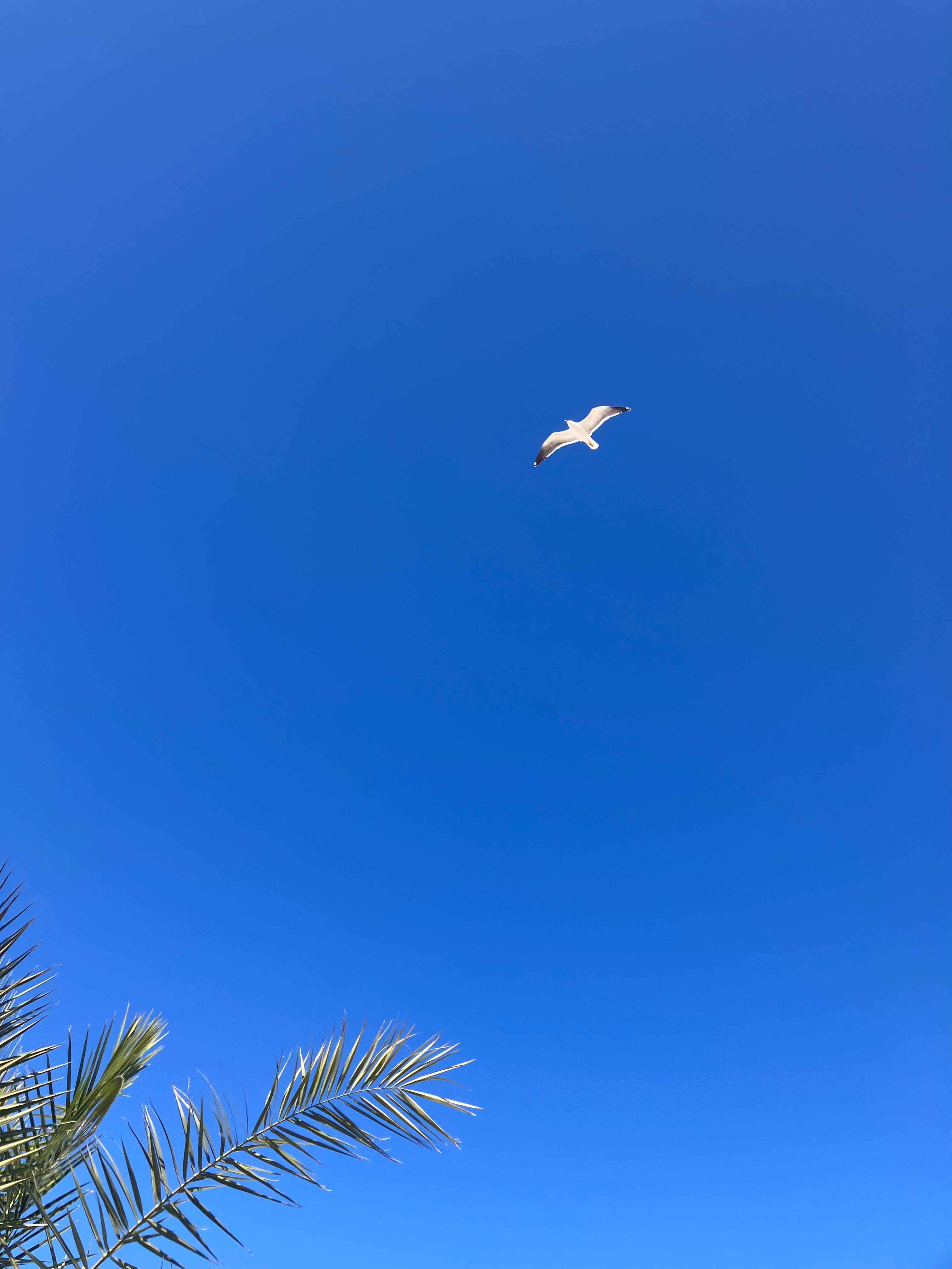 Nationaal monument Oranjehotel