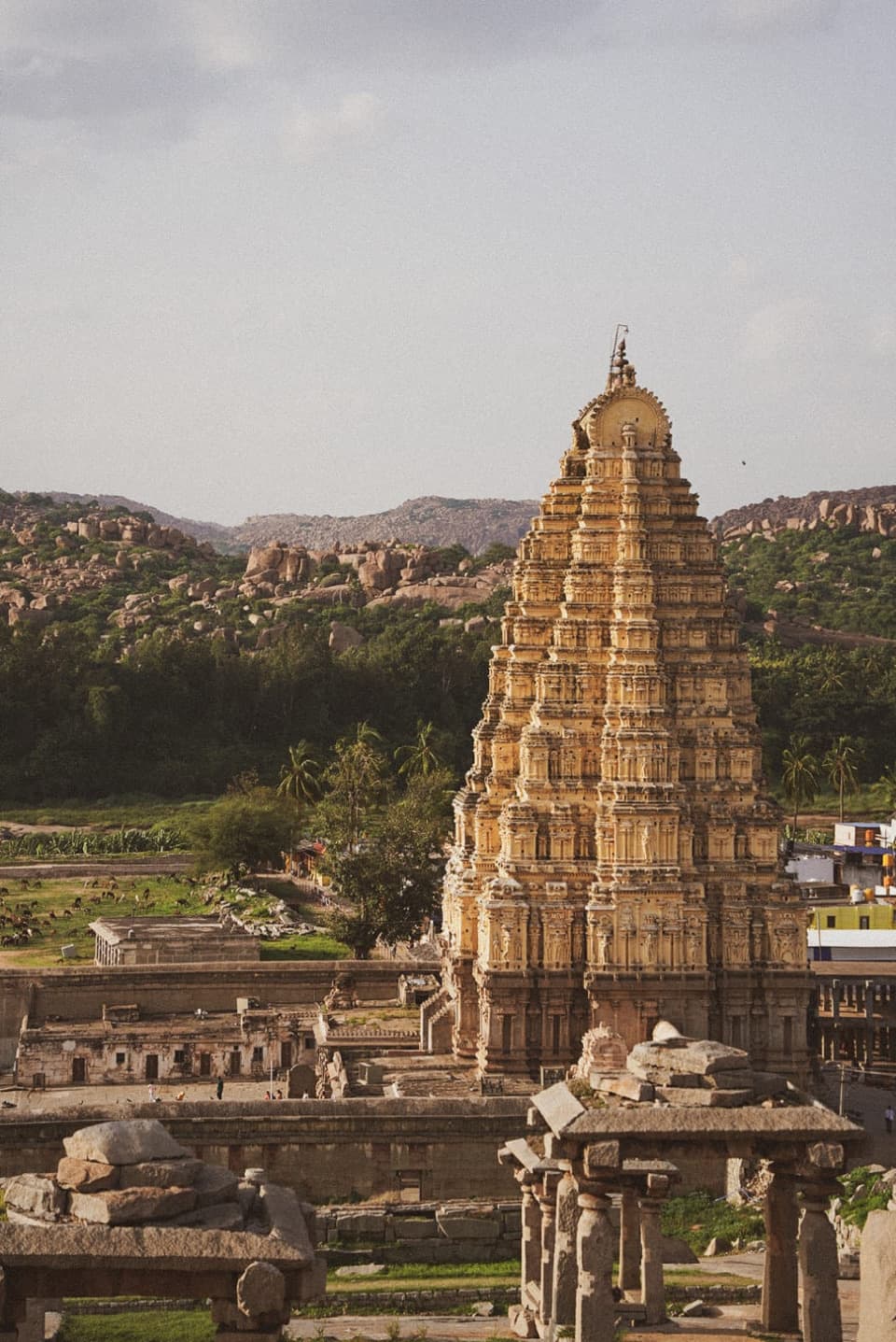 Discover India in 4 weeks