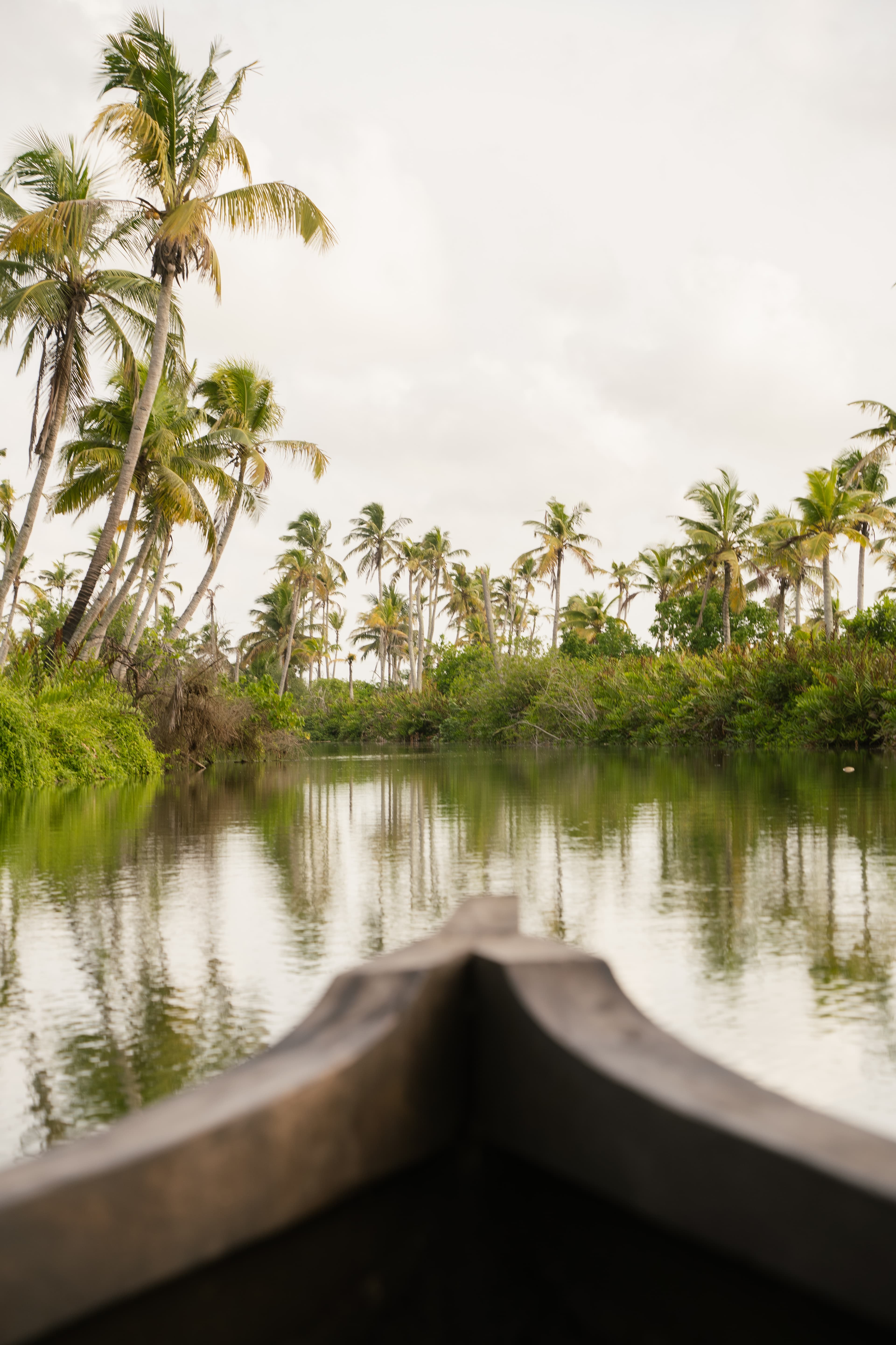 Discover India in 4 weeks