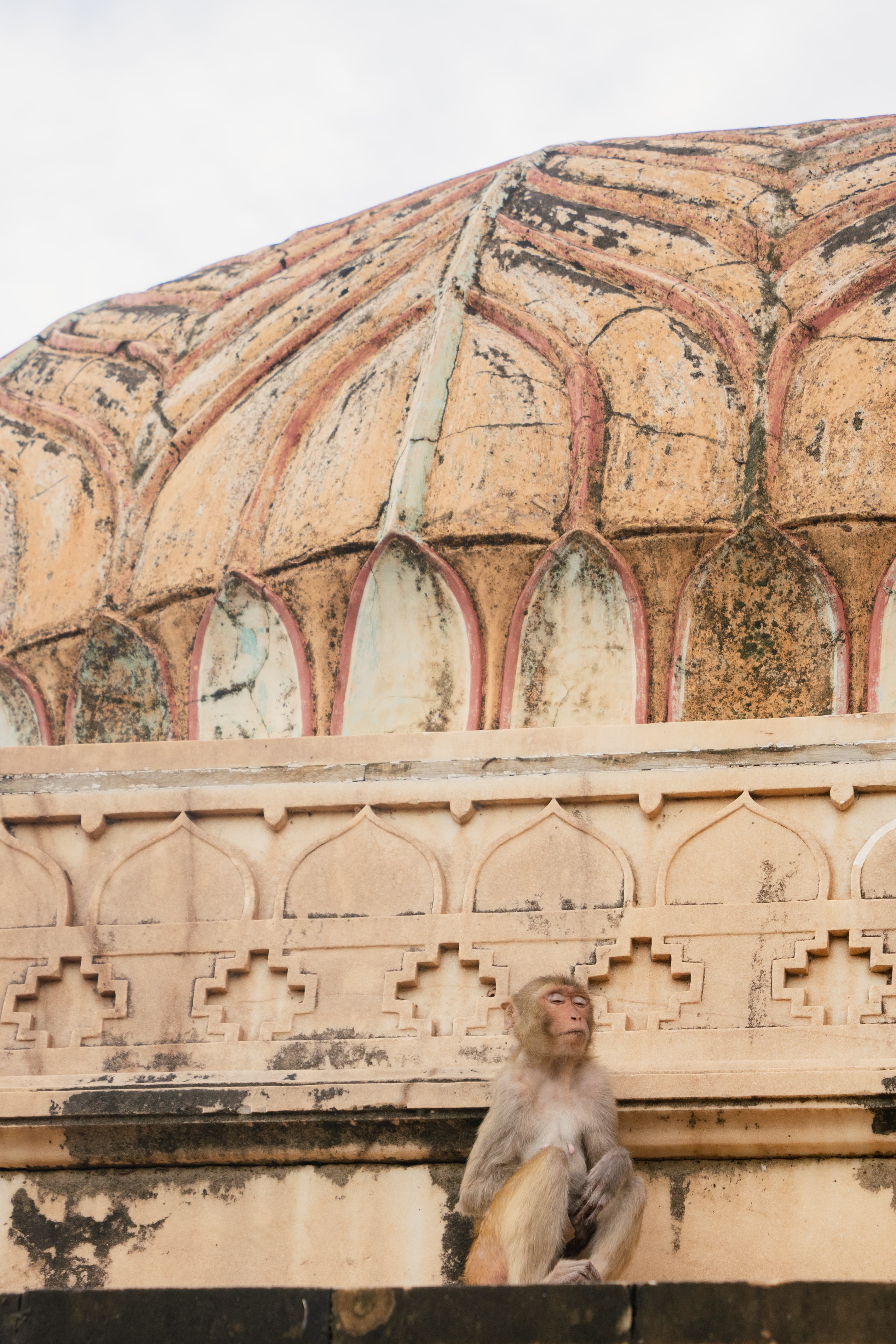 Discover India in 4 weeks
