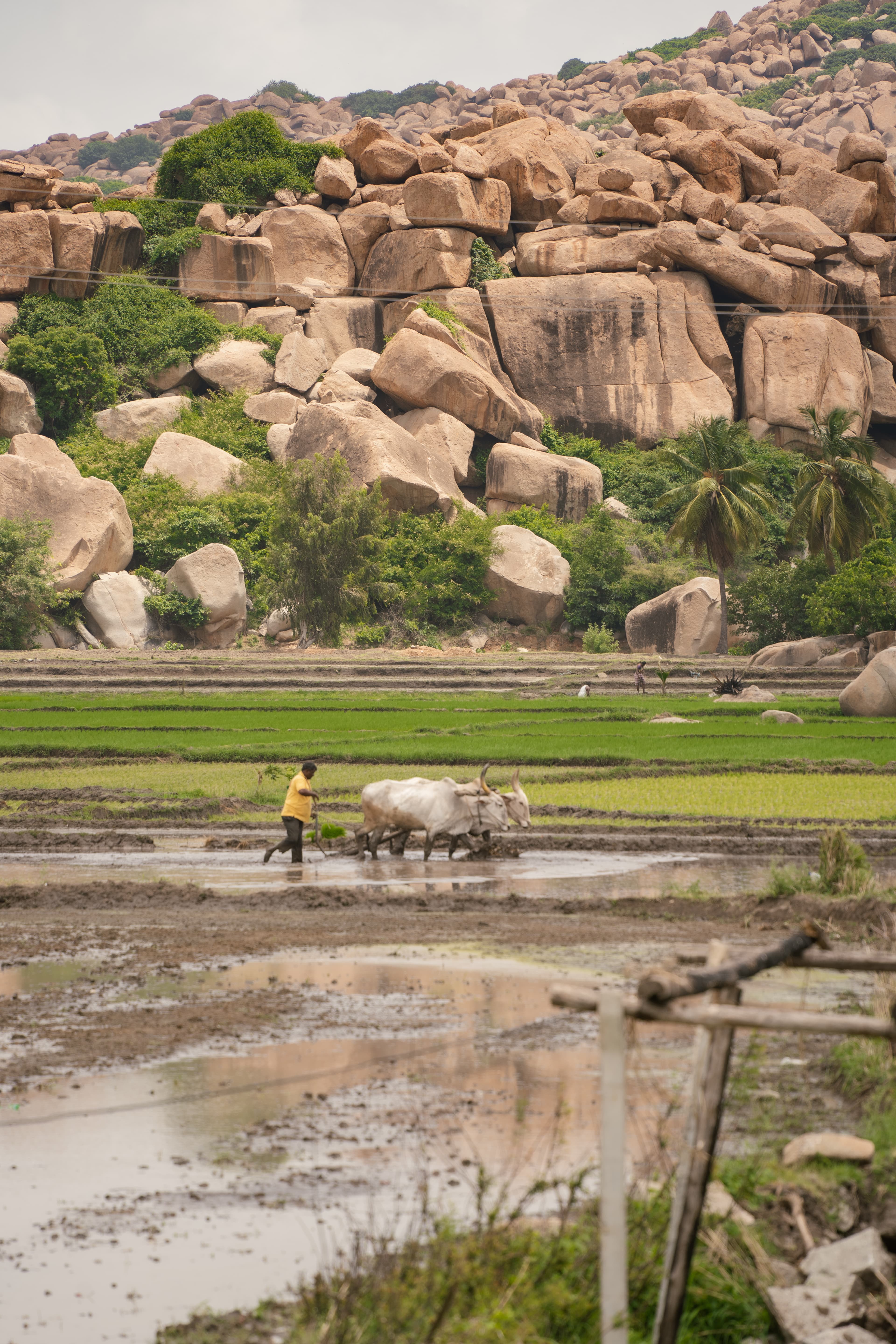 Discover India in 4 weeks